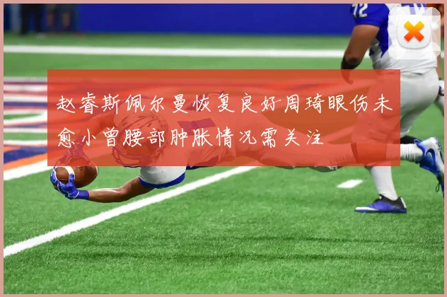 赵睿斯佩尔曼恢复良好周琦眼伤未愈小曾腰部肿胀情况需关注